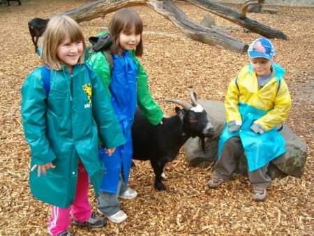 Výlet do zoo